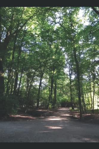 Die Toten vom Eversten Holz: Oldenburgkrimi