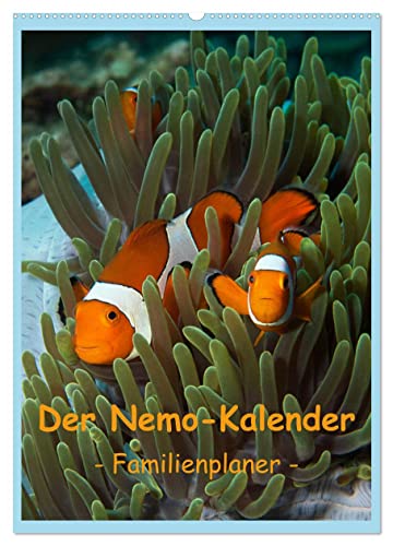 Der Nemo-Kalender (Wandkalender 2025 DIN A2 hoch), CALVENDO Monatskalender von CALVENDO