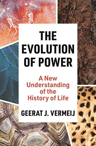 The Evolution of Power: A New Understanding of the History of Life von Princeton University Press