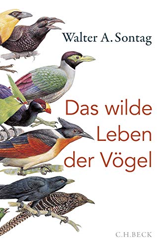Das wilde Leben der Vögel: Von Nachtschwärmern, Kuckuckskindern und leidenschaftlichen Sängern von Beck C. H.