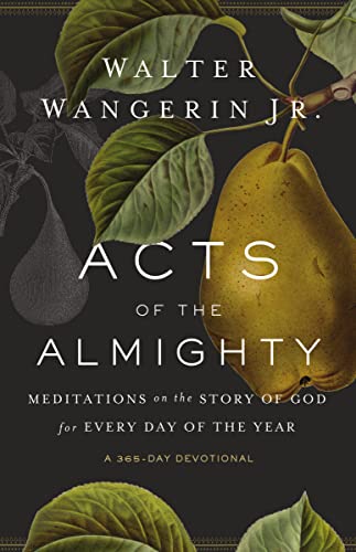 Acts of the Almighty: Meditations on the Story of God for Every Day of the Year von Zondervan