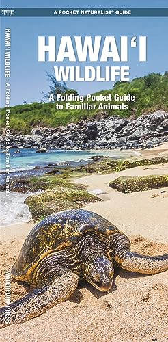 Hawai'i Wildlife: A Folding Pocket Guide to Familiar Animals (Pocket Naturalist Guide) von Waterford Press Ltd