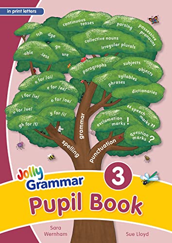 Grammar 3 Pupil Book: In Print Letters (British English edition)