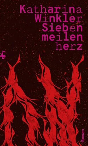 Siebenmeilenherz: Roman von Matthes & Seitz Berlin
