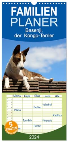 Familienplaner 2025 - Basenji, der Kongo-Terrier mit 5 Spalten (Wandkalender, 21 cm x 45 cm), CALVENDO von CALVENDO