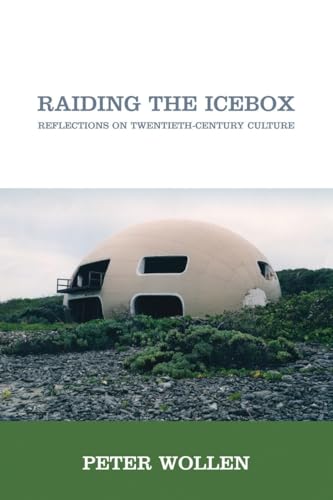 Raiding the Icebox: Reflections on Twentieth-Century Culture von Verso Books