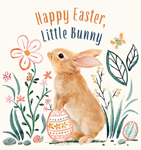 Happy Easter, Little Bunny: A Board Book (Baby Animal Tales) von Harry N. Abrams