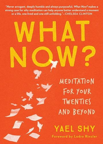 What Now?: Meditation for Your Twenties and Beyond von Parallax Press