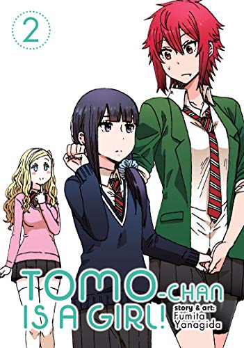 Tomo-chan is a Girl! Vol. 2 von Seven Seas