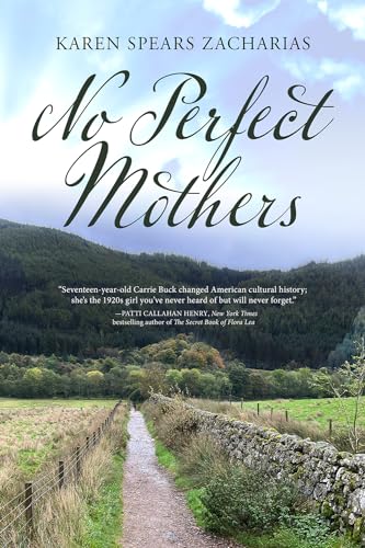 No Perfect Mothers: A Novel von Mercer University Press