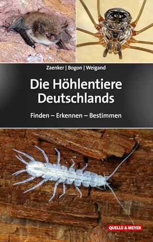 Die Höhlentiere Deutschlands: Finden – Erkennen – Bestimmen (Quelle & Meyer Bestimmungsbücher)