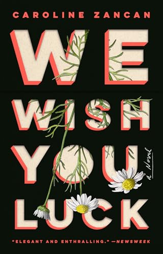 We Wish You Luck: A Novel