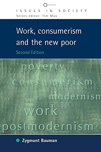 Work, Consumerism and the New Poor (Issues in Society) von Open University Press