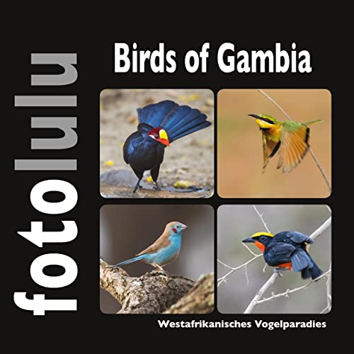 Birds of Gambia: Westafrikanisches Vogelparadies