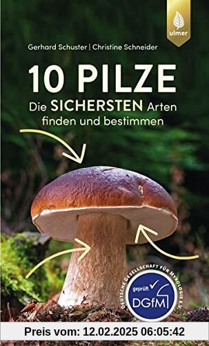 10 Pilze: Die sichersten Arten finden und bestimmen