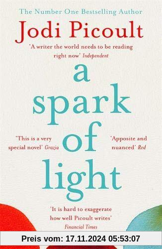 A Spark of Light: THE NUMBER ONE SUNDAY TIMES BESTSELLER