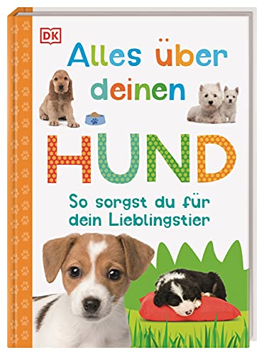 Alles über deinen Hund: So sorgst du für dein Lieblingstier. Mit Steckbriefen beliebter Hunderassen und Quiz. Für Kinder ab 7 Jahren (Mein Haustier)