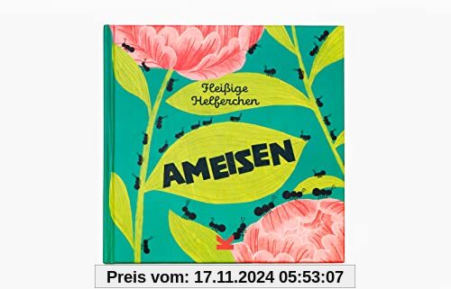 Ameisen. Fleißige Helferchen