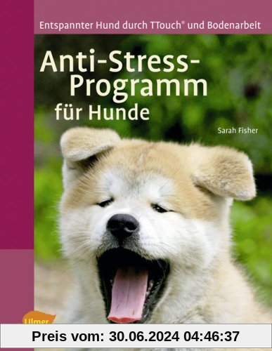 Anti-Stress-Programm für Hunde: Entspannter Hund durch T-Touch und Bodenarbeit