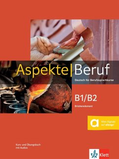 Aspekte Beruf B1/B2 Brückenelement von Klett Sprachen