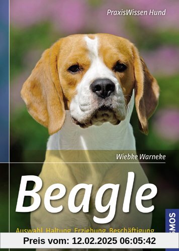 Beagle: Auswahl, Haltung, Erziehung, Beschäftigung