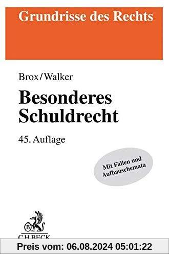 Besonderes Schuldrecht (Grundrisse des Rechts)