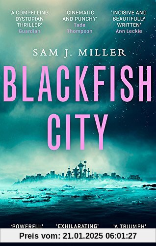 Blackfish City