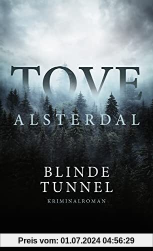 Blinde Tunnel: Von der Bestsellerautorin der Thriller Sturmrot, Erdschwarz und Nebelblau