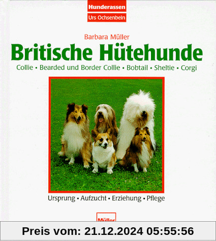 Britische Hütehunde