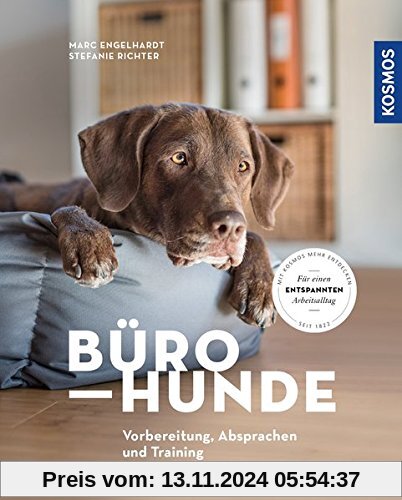 Bürohunde: Vorbereitung, Absprachen und Training