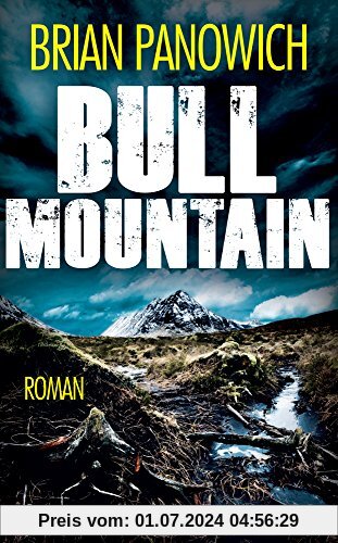 Bull Mountain: Roman (suhrkamp taschenbuch)
