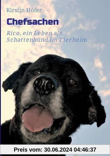 Chefsachen: Rico - ein Leben als Schattenhund im Tierheim