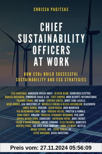 Chief Sustainability Officers At Work: How CSOs Build Successful Sustainability and ESG Strategies