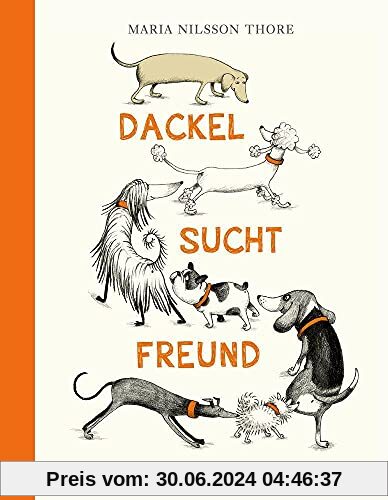 Dackel sucht Freund: Bilderbuch
