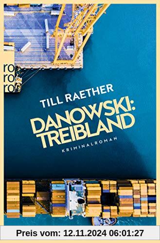 Danowski: Treibland (Adam Danowski, Band 1)