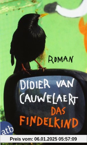 Das Findelkind: Roman