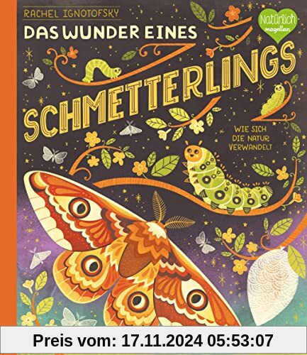 Das Wunder eines Schmetterlings - Wie sich die Natur verwandelt: Ein Sachbilderbuch für Kinder ab 6 Jahren über Insekten (Wunder der Natur)