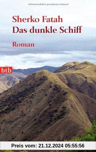 Das dunkle Schiff: Roman