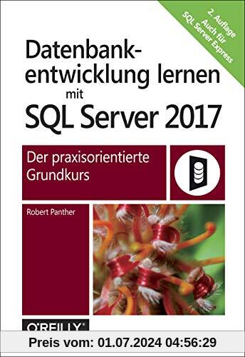 Datenbankentwicklung lernen mit SQL Server 2017: Der praxisorientierte Grundkurs