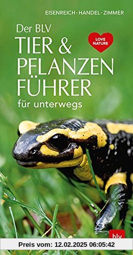 Der BLV Tier & Pflanzenführer: für unterwegs