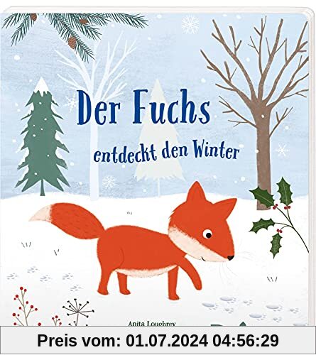 Der Fuchs entdeckt den Winter: Pappbilderbuch ab 2 mit kleinem Fuchs, der Angst überwindet und etwas über den Winter lernt