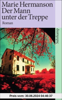 Der Mann unter der Treppe: Roman (suhrkamp taschenbuch)