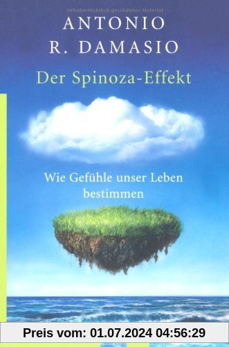 Der Spinoza-Effekt: Wie Gefühle unser Leben bestimmen