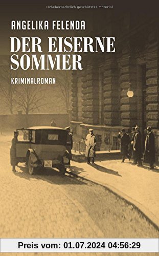 Der eiserne Sommer: Reitmeyers erster Fall. Kriminalroman (Kommissär-Reitmeyer-Serie)