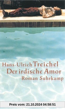 Der irdische Amor: Roman