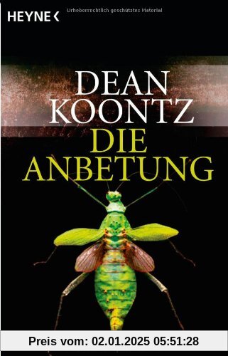 Die Anbetung: Odd Thomas 1