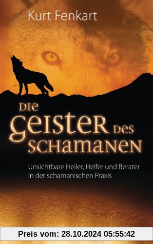 Die Geister des Schamanen: Unsichtbare Heiler, Helfer und Berater in der schamanischen Praxis