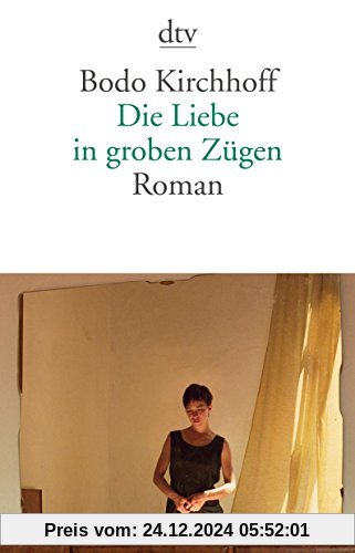 Die Liebe in groben Zügen: Roman