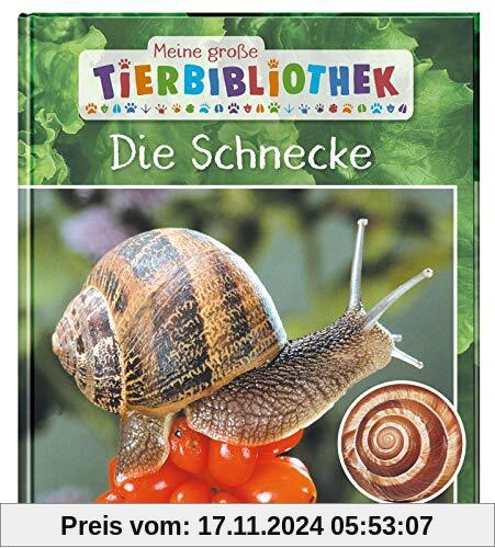 Die Schnecke (Meine große Tierbibliothek)