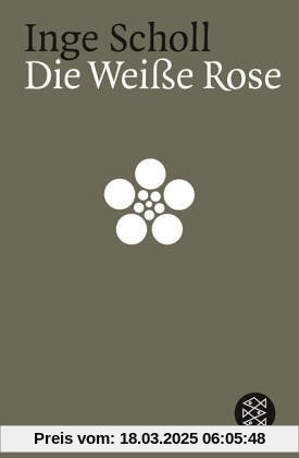 Die Weiße Rose